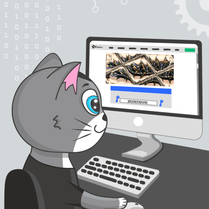 Сервер авторизации Ferrum