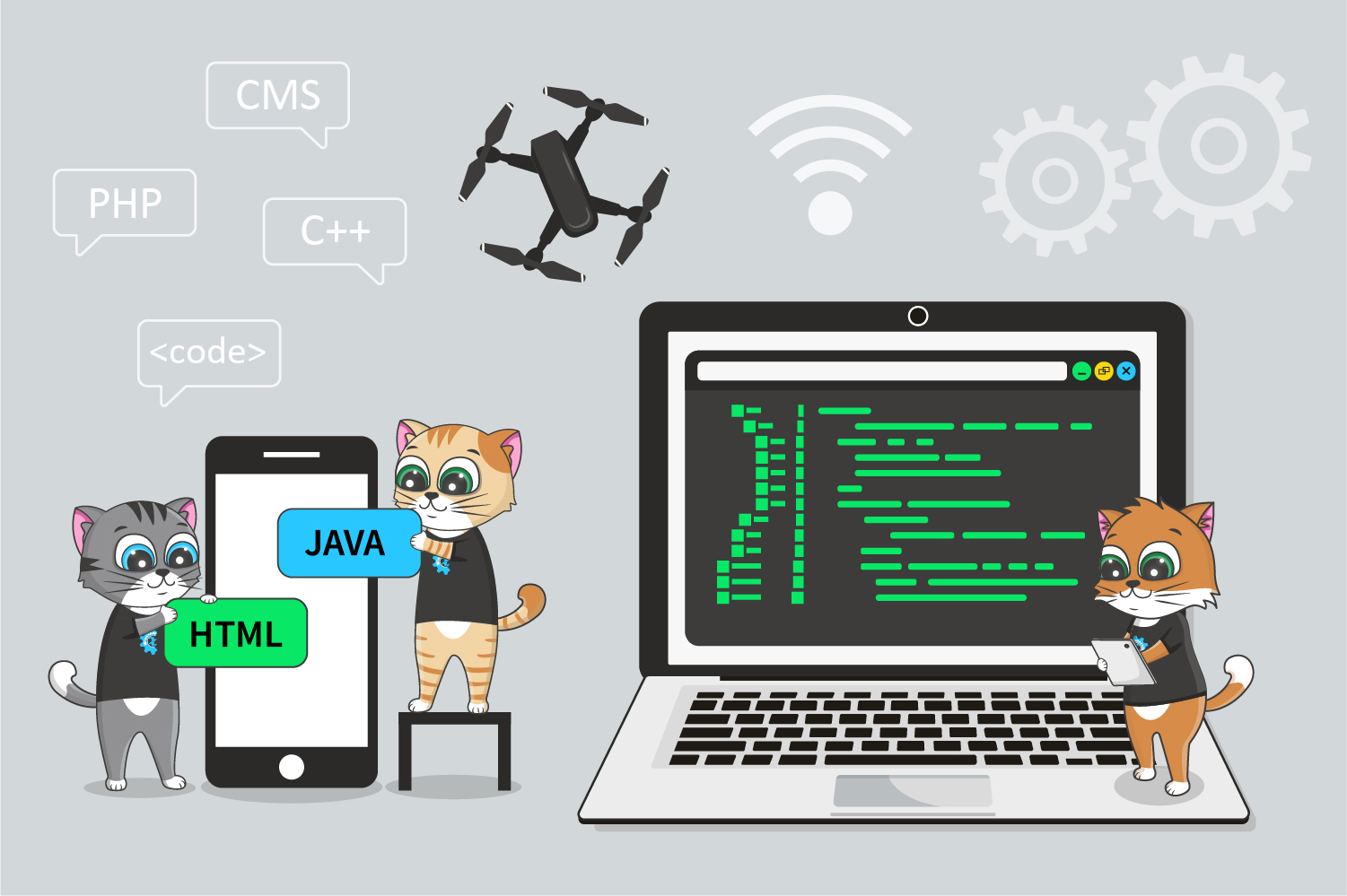 Wissance develops quality software