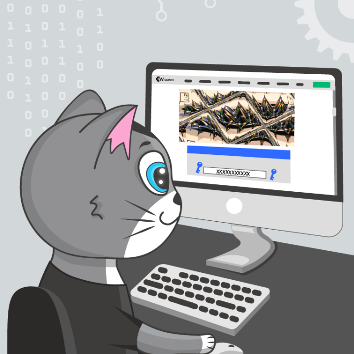 ferrum community authorization server